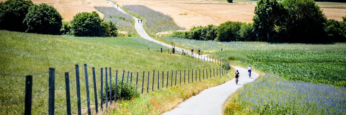 Experience Cycling in Flanders