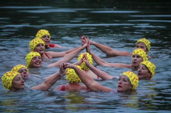 Synchro Stingrays